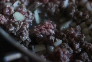 Ground beef and onion