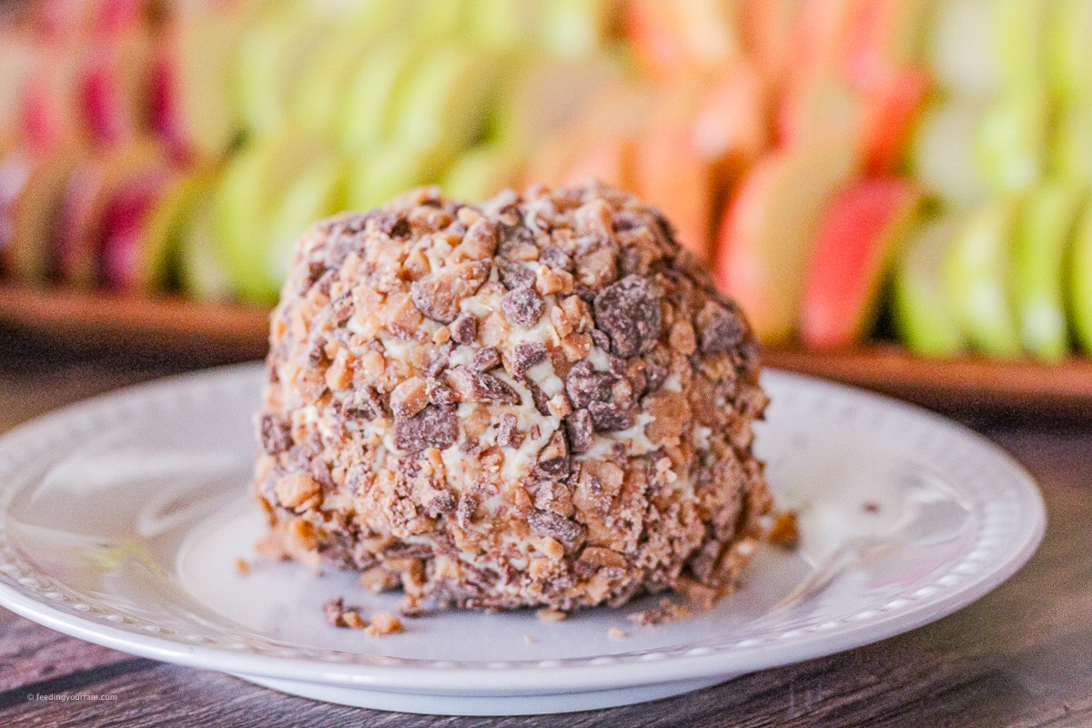 cheese ball covered in chocolate toffee bits on a white plate