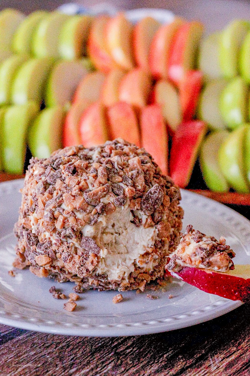 Sweeten up the traditional cheese ball with this Caramel Apple version. Delicious with any fruit you want to dip in it!!