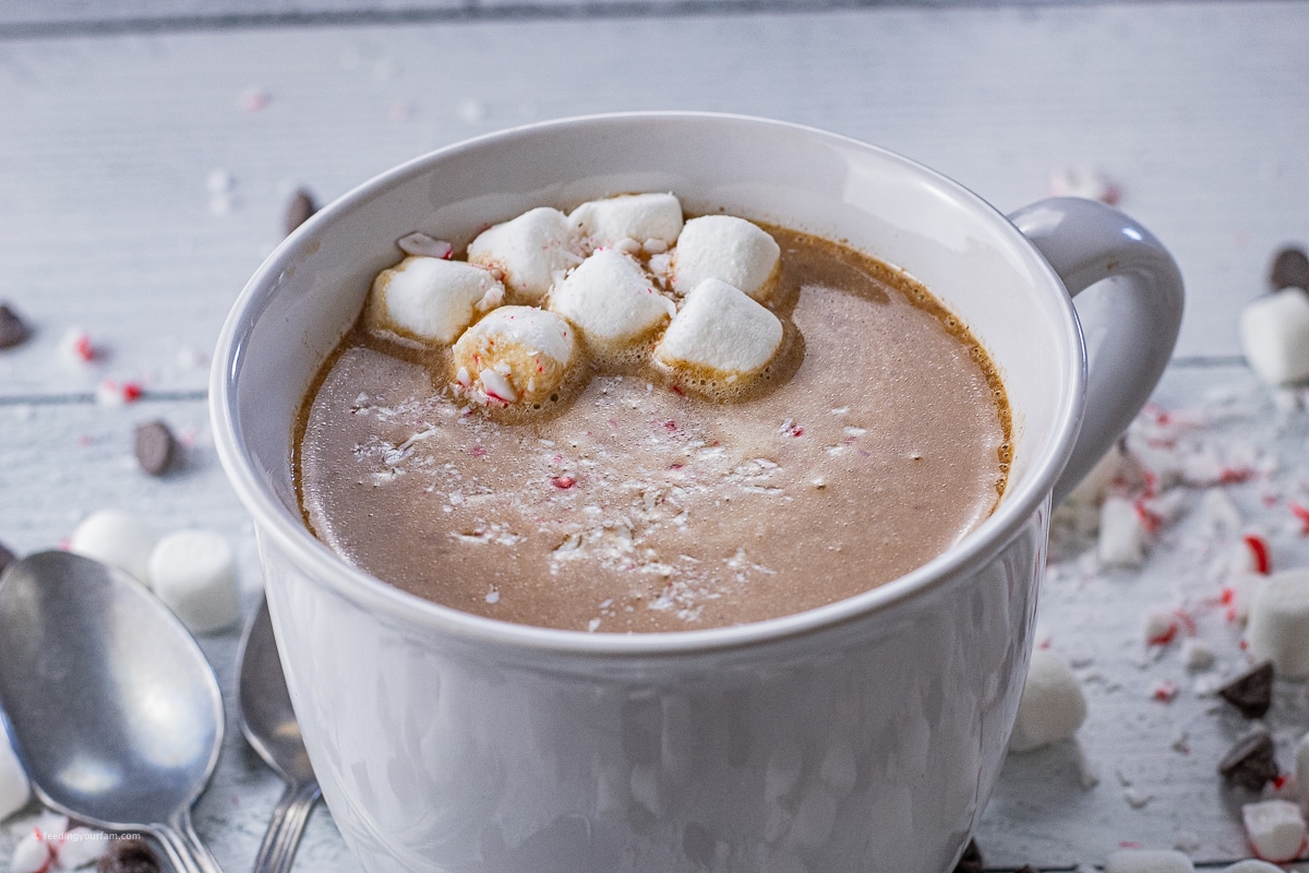 big white mug of hot chocolate topped with crushed candy canes and mini marshmallows