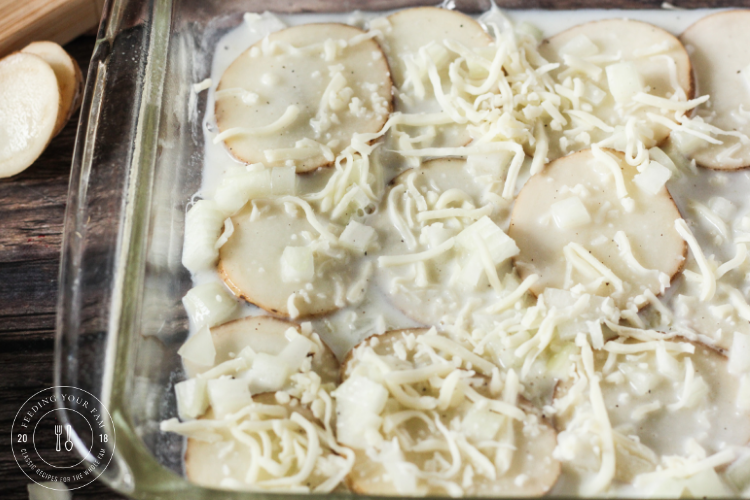 Layers of potatoes, onions and cheese for scalloped potatoes