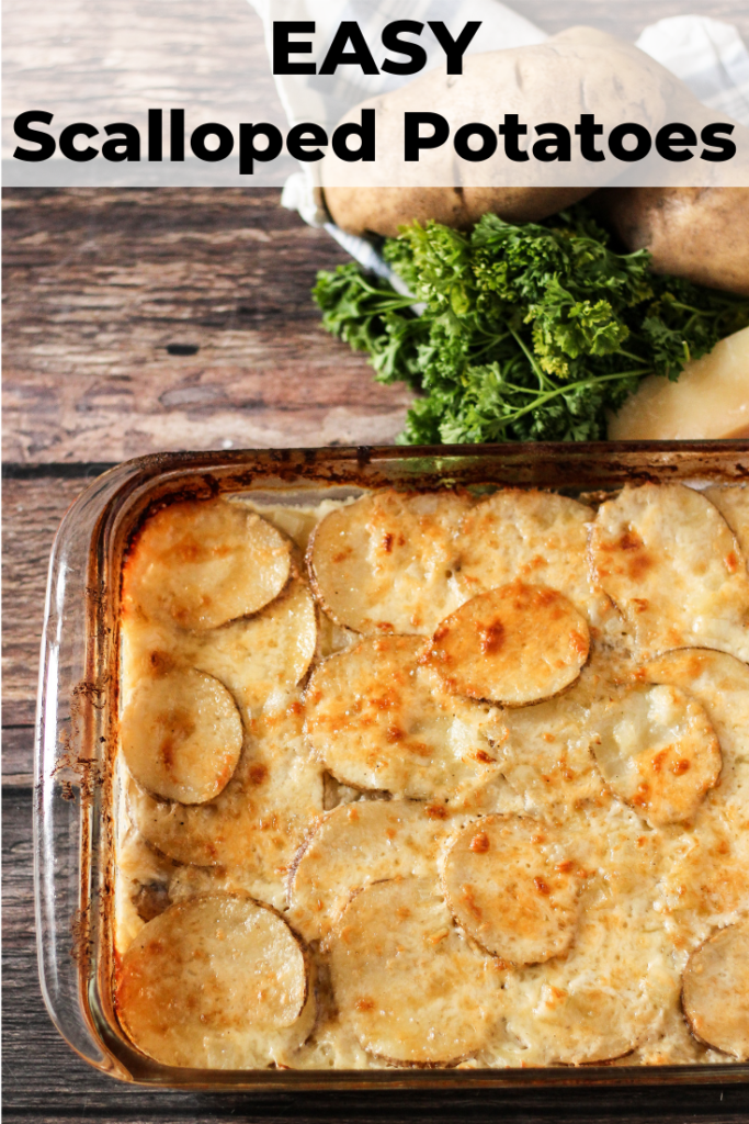 Easy scalloped potatoes, golden brown in a baking dish