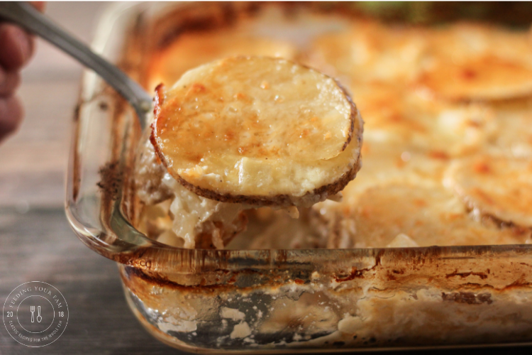 Spoonful of cheesy scalloped potatoes