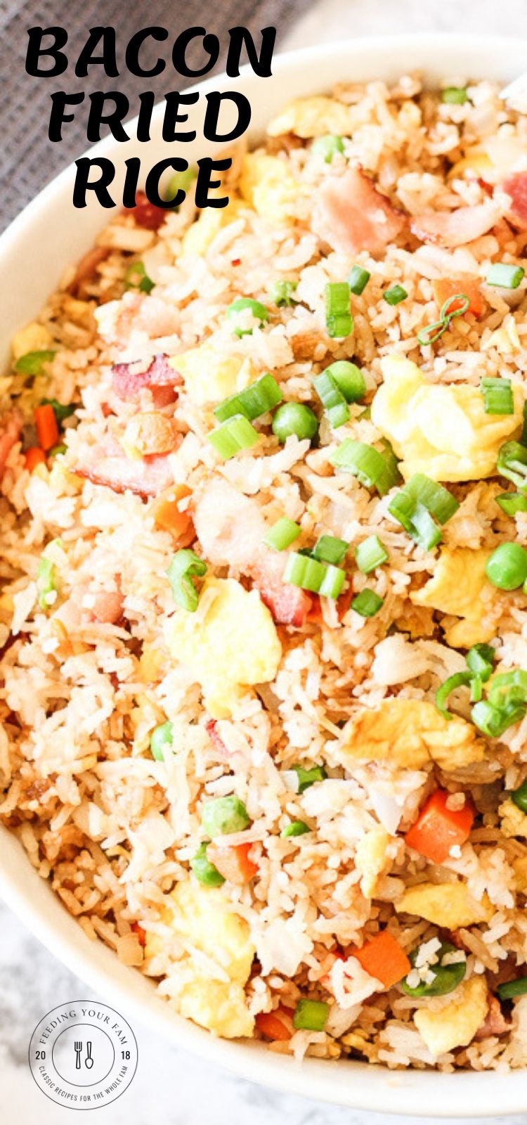 closeup of fried rice