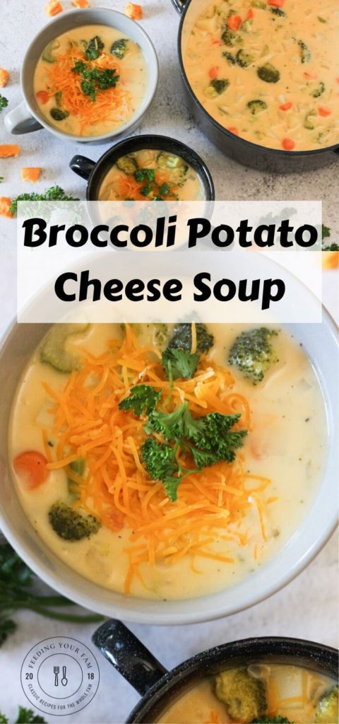 Quick and Easy Broccoli Potato Cheese Soup - Feeding Your Fam