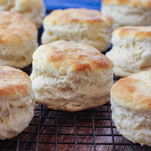 Quick and Easy Homemade Biscuits - Feeding Your Fam