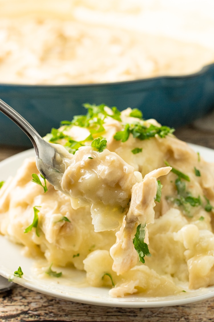 chicken and gravy over mashed potatoes