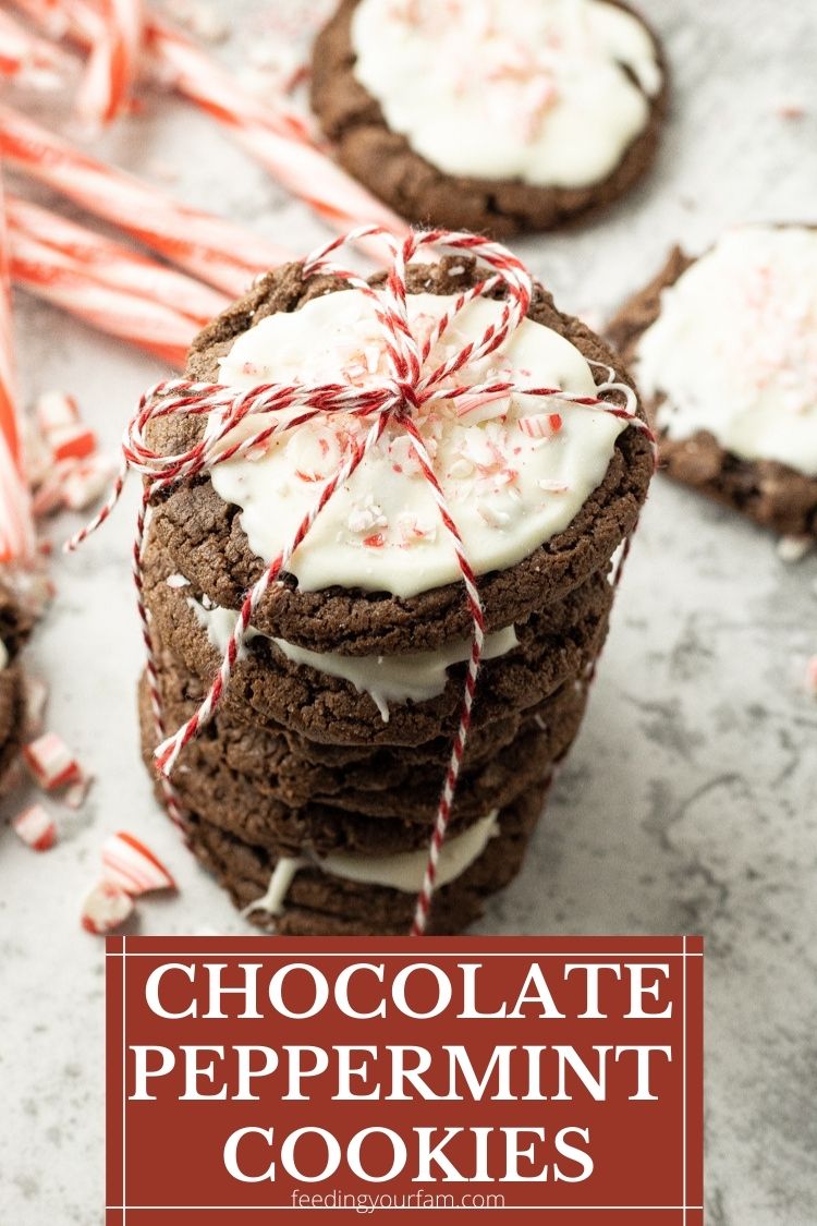 stack of chocolate cookies tied with a red and white string