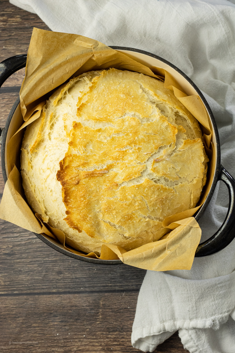 crusty bread in a dutch oven pan