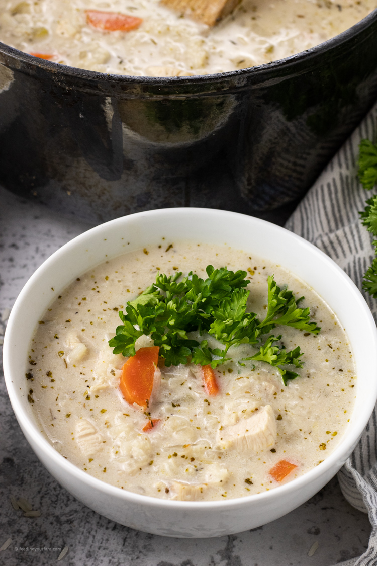 bowl of chicken soup with rice topped with parsley