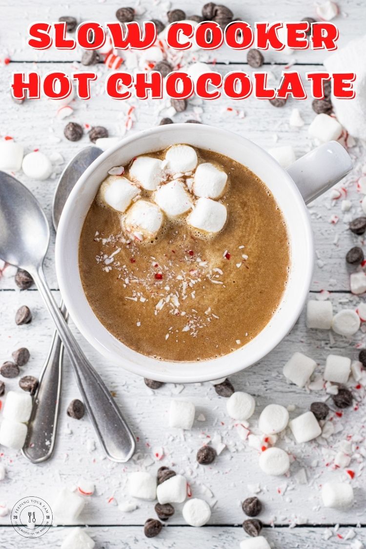 This Slow Cooker Hot Chocolate is so creamy, chocolatey and dreamy!! You will want to cuddle up by the fire with a big ole mug of this! Made with milk, cream, sweetened condensed milk and chocolate chips, this crockpot hot chocolate is sweet, rich and makes enough to share with everyone!