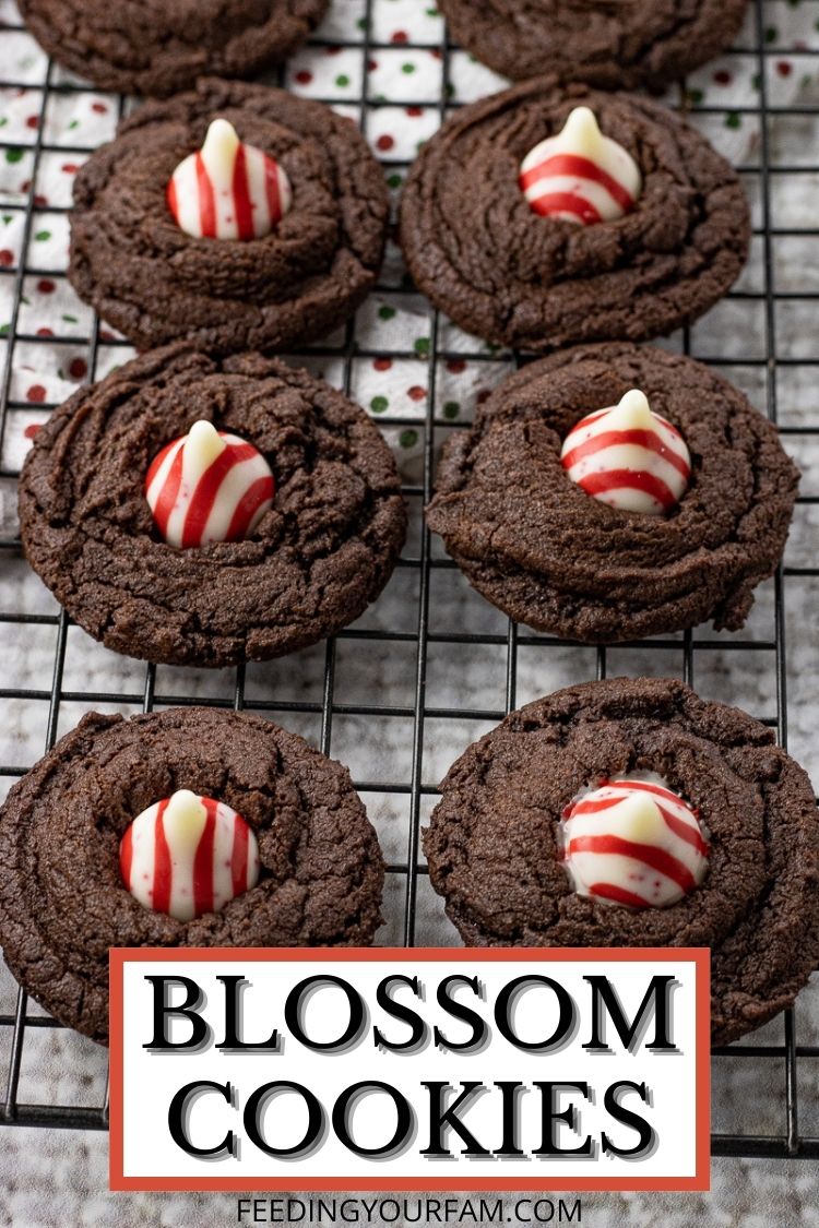 Blossom Cookies are rich, chocolatey cookies that are perfect for topping with any variety of Hershey's Kisses. These Chocolate Blossom Cookies are very much like a Peanut Butter Chocolate Cookie with a soft cookie base, topped with a delicious Kiss. The Chocolate Cookie base for this Chocolate Blossom Cookie Recipe has just a touch of peppermint for the perfect chocolate mint flavor. 