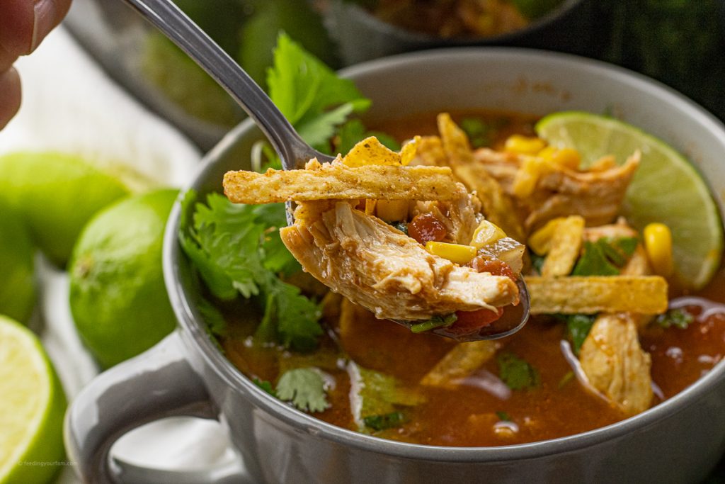 spoonful of soup with chicken, corn, tomatoes and tortilla strips