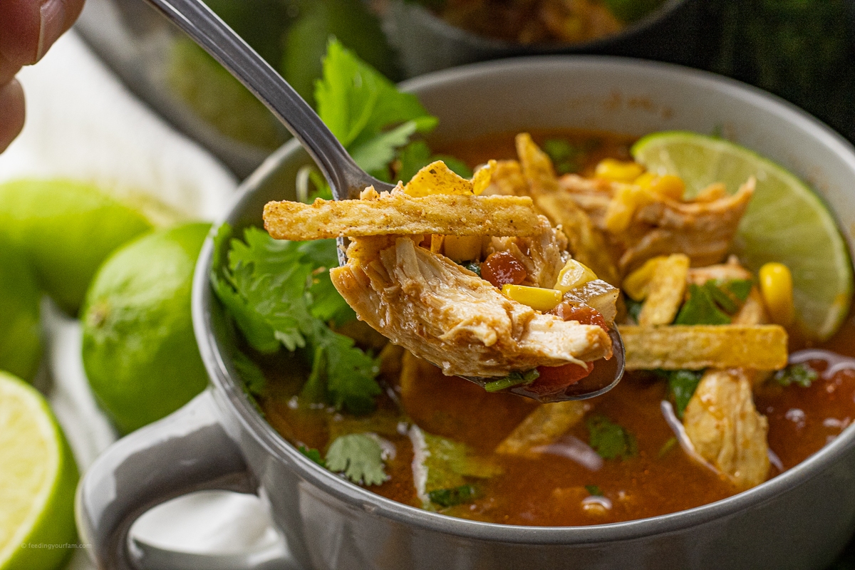 Easy, Homemade Chicken Tortilla Soup Recipe - Feeding Your Fam