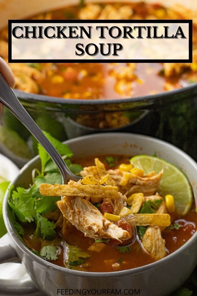 spoonful of tortilla soup with shredded chicken