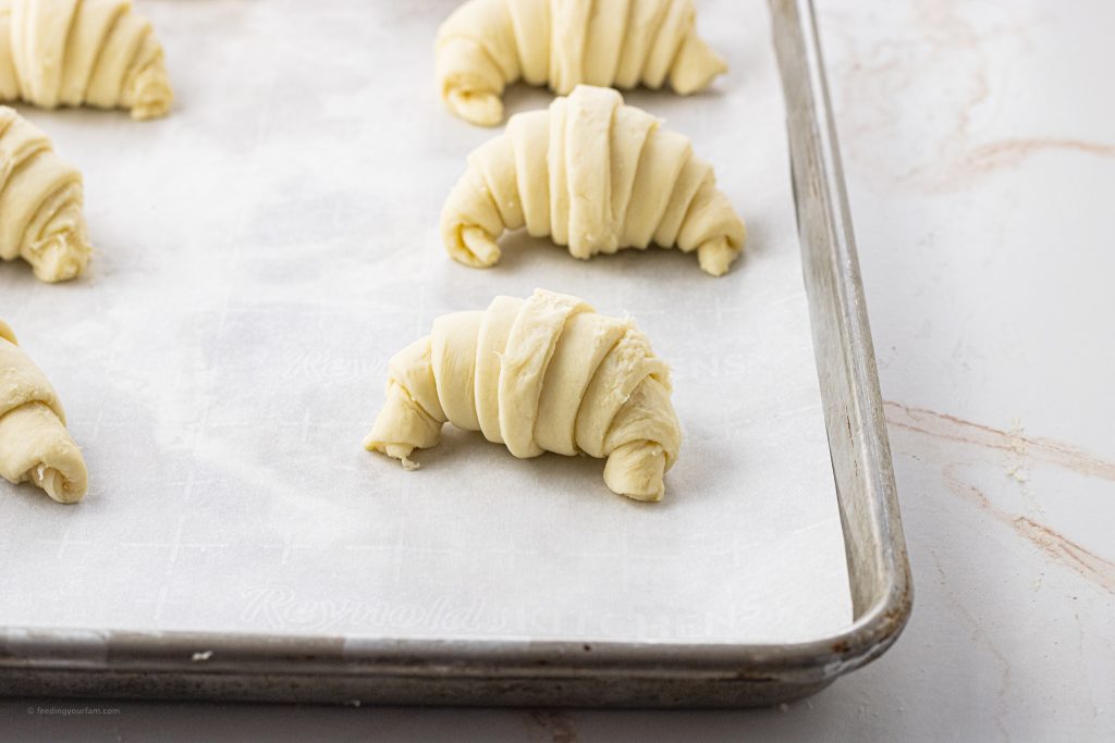 rolled, uncooked croissants on a baking sheet