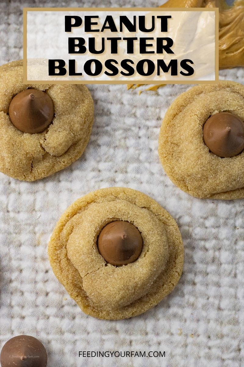 This recipe for Peanut Butter Blossom Cookies is a classic. It's like a treat within a treat. Soft, peanut butter cookies are topped with a simple Hershey's Kiss chocolate candy. Every bite is a chocolate peanut butter flavor delight!!