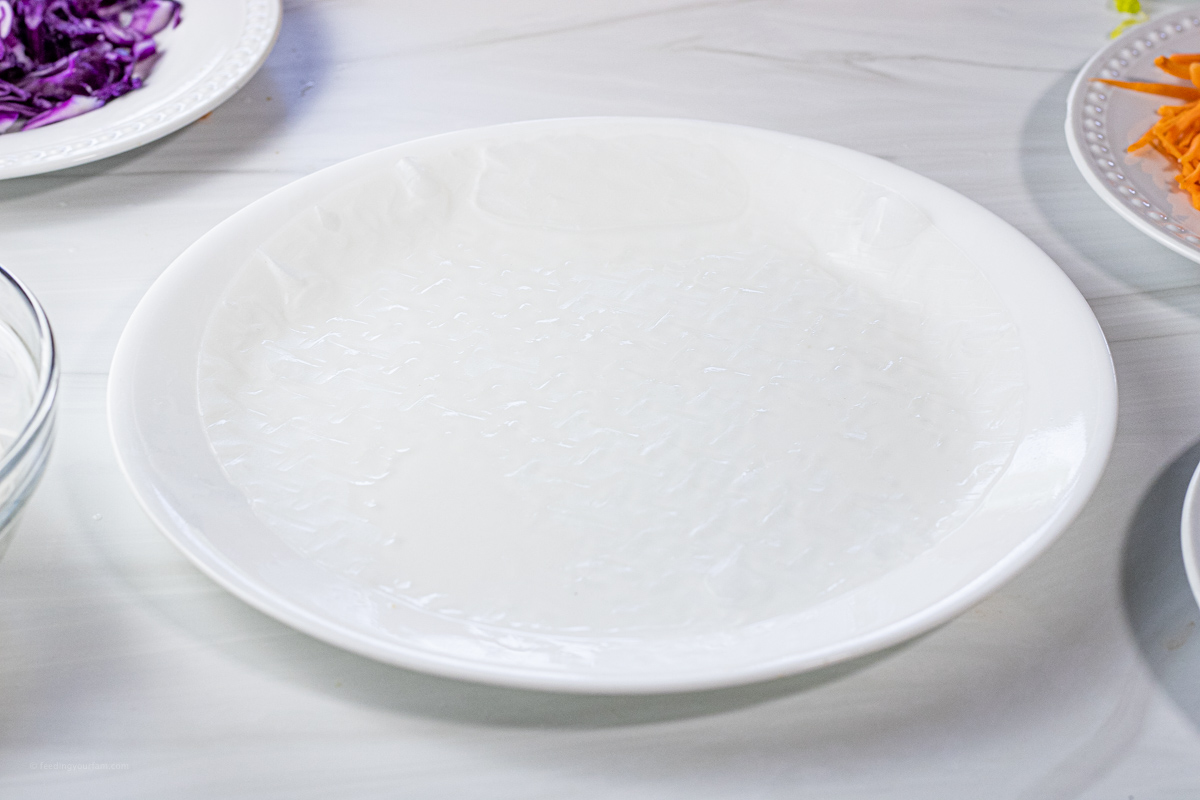 rice paper on a plate of water