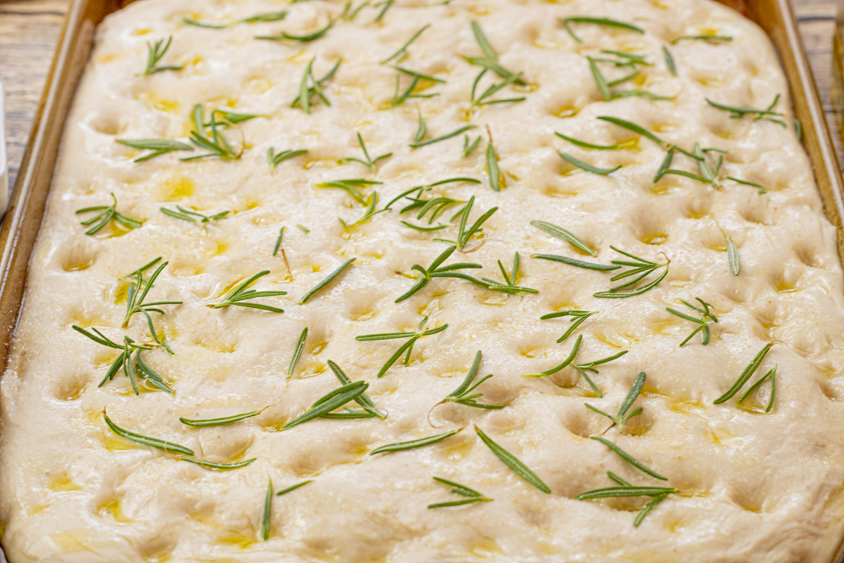 uncooked focaccia topped with rosemary