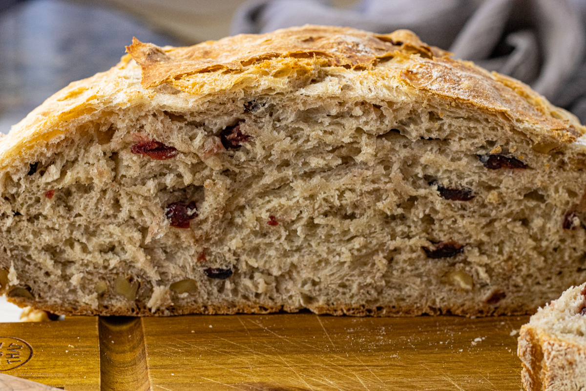 cranberry and walnut bread sliced in half