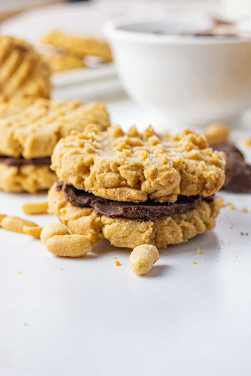 peanut butter cookies sandwiched with chocolate
