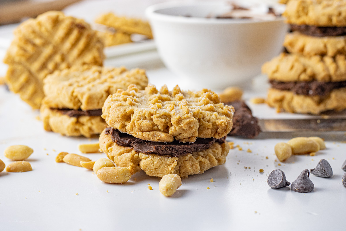 peanut butter cookies with chocolate center