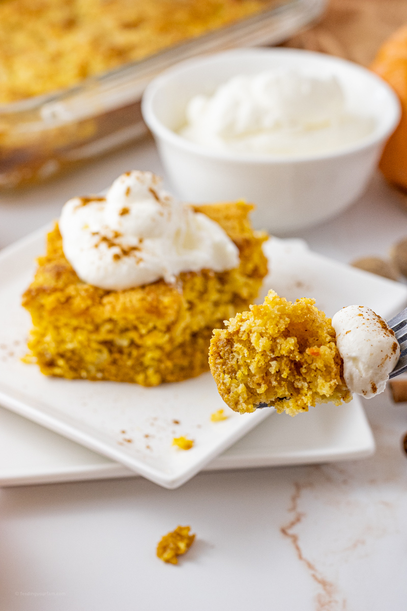 fork holding a piece of pumpkin cake