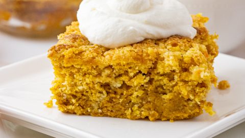 Pumpkin Pie Dump Cake (Easy Fall Dessert) | Recipe | Easy pumpkin recipes  desserts, Fall desserts easy, Pumpkin recipes dessert