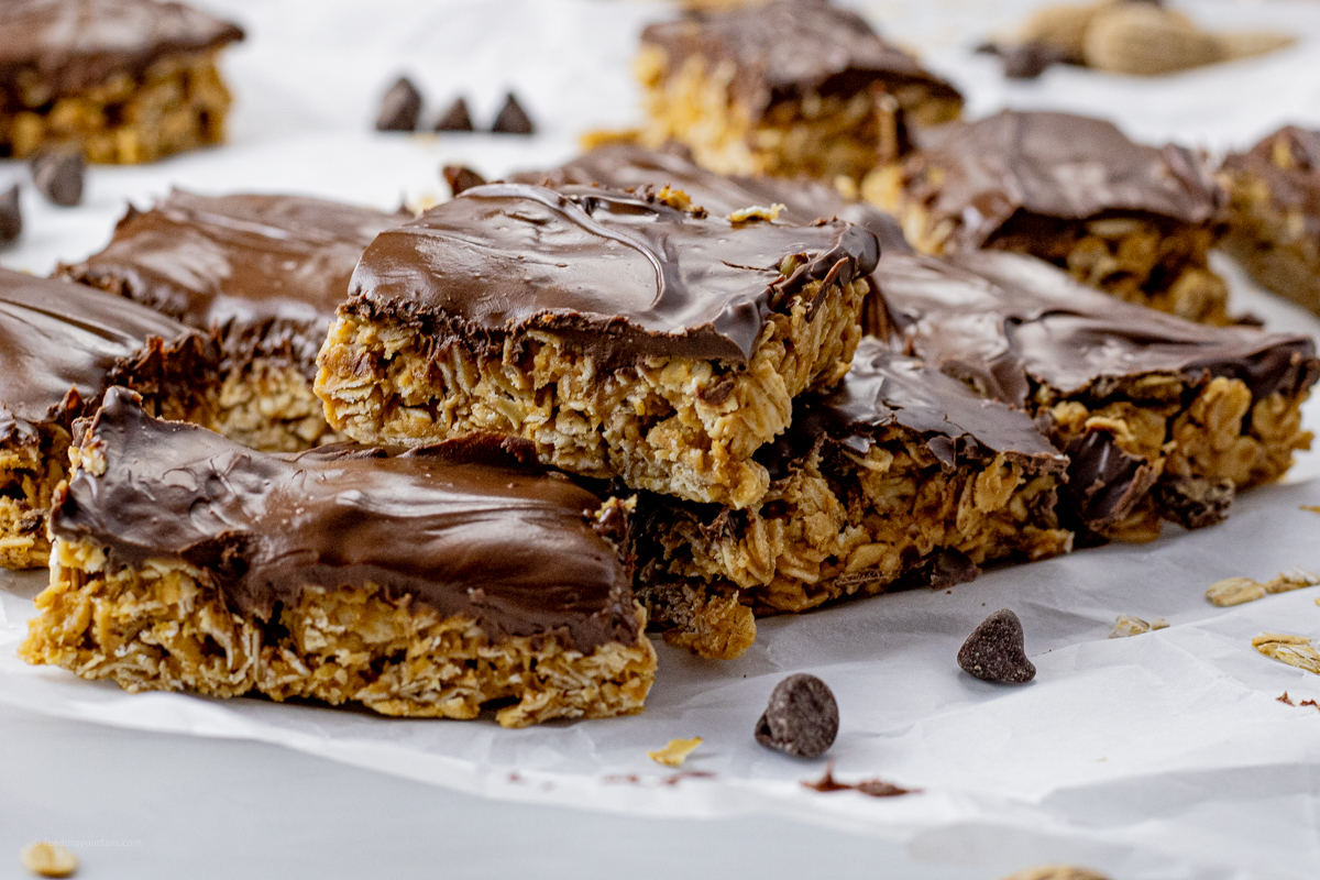 peanut butter oatmeal bars topped with chocolate