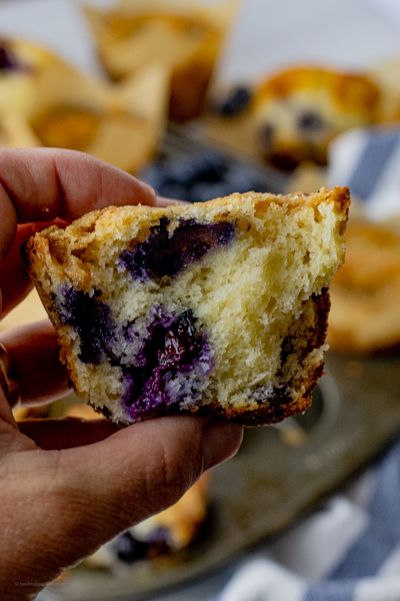 close up of a blueberry muffin broken in half