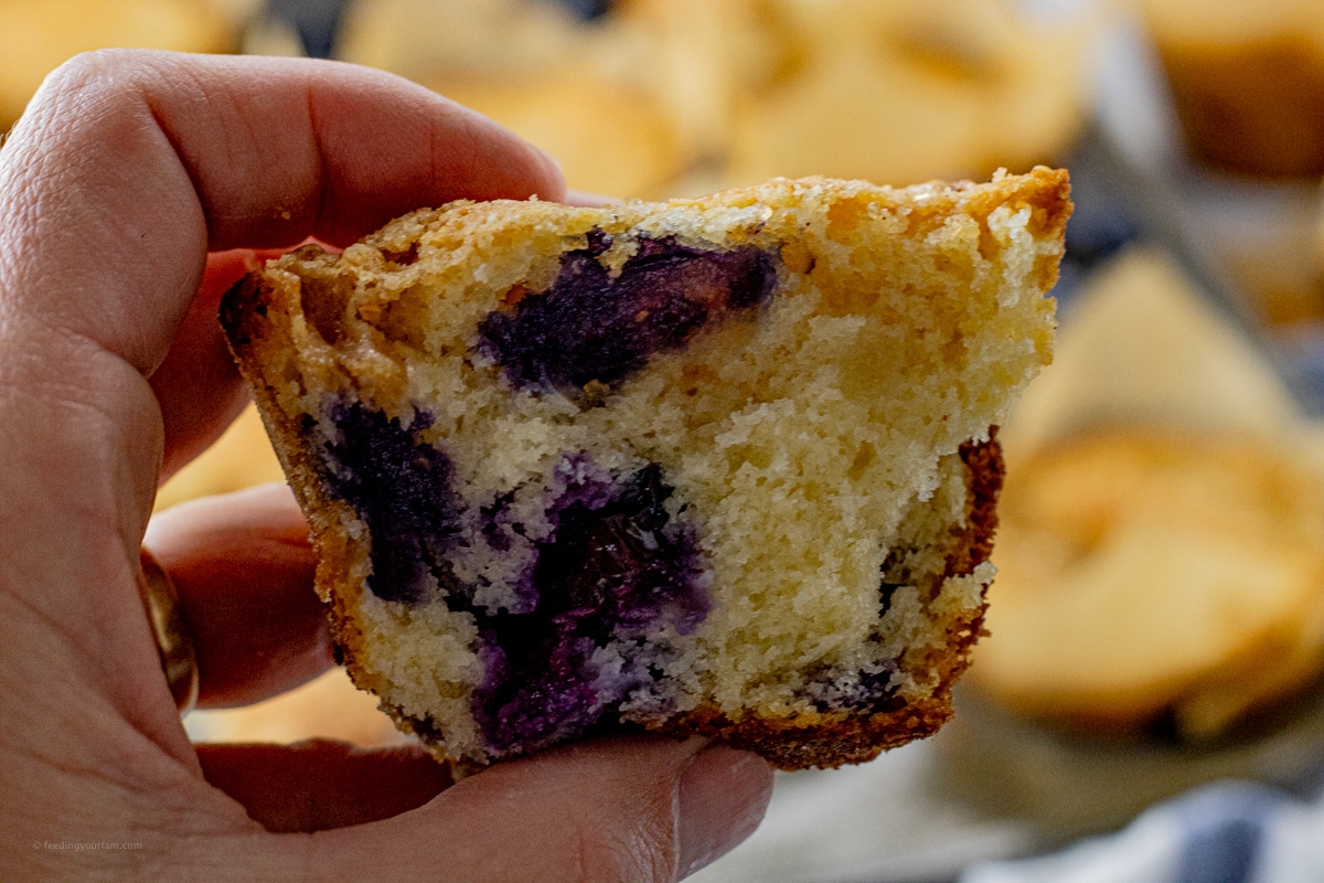 close up of a blueberry muffin cut in half