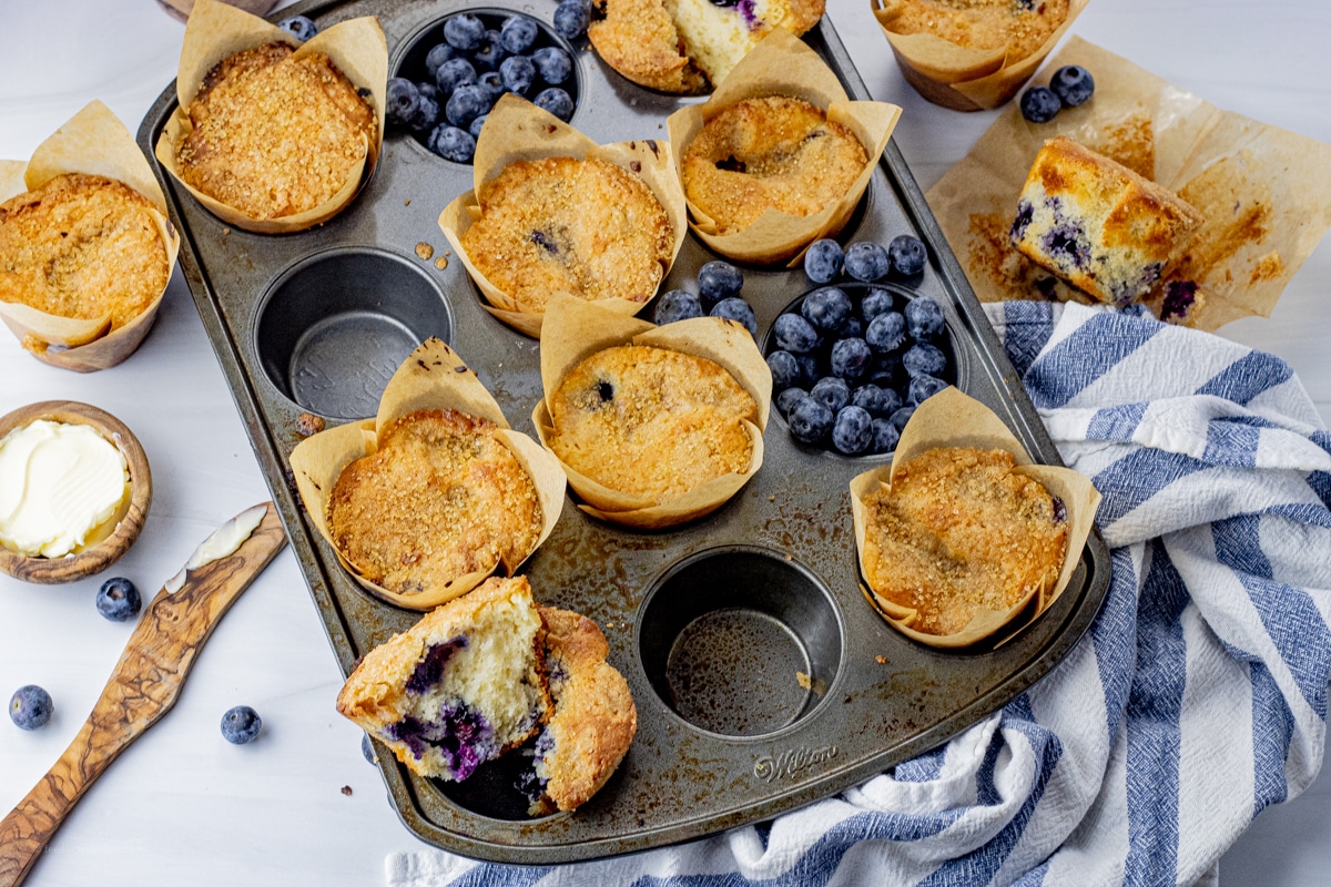 blueberry muffins in a muffin pan with fresh blueberries as well