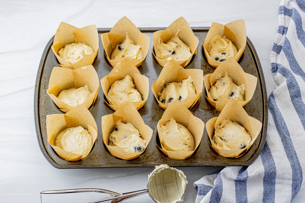 12 muffins uncooked in a muffin pan