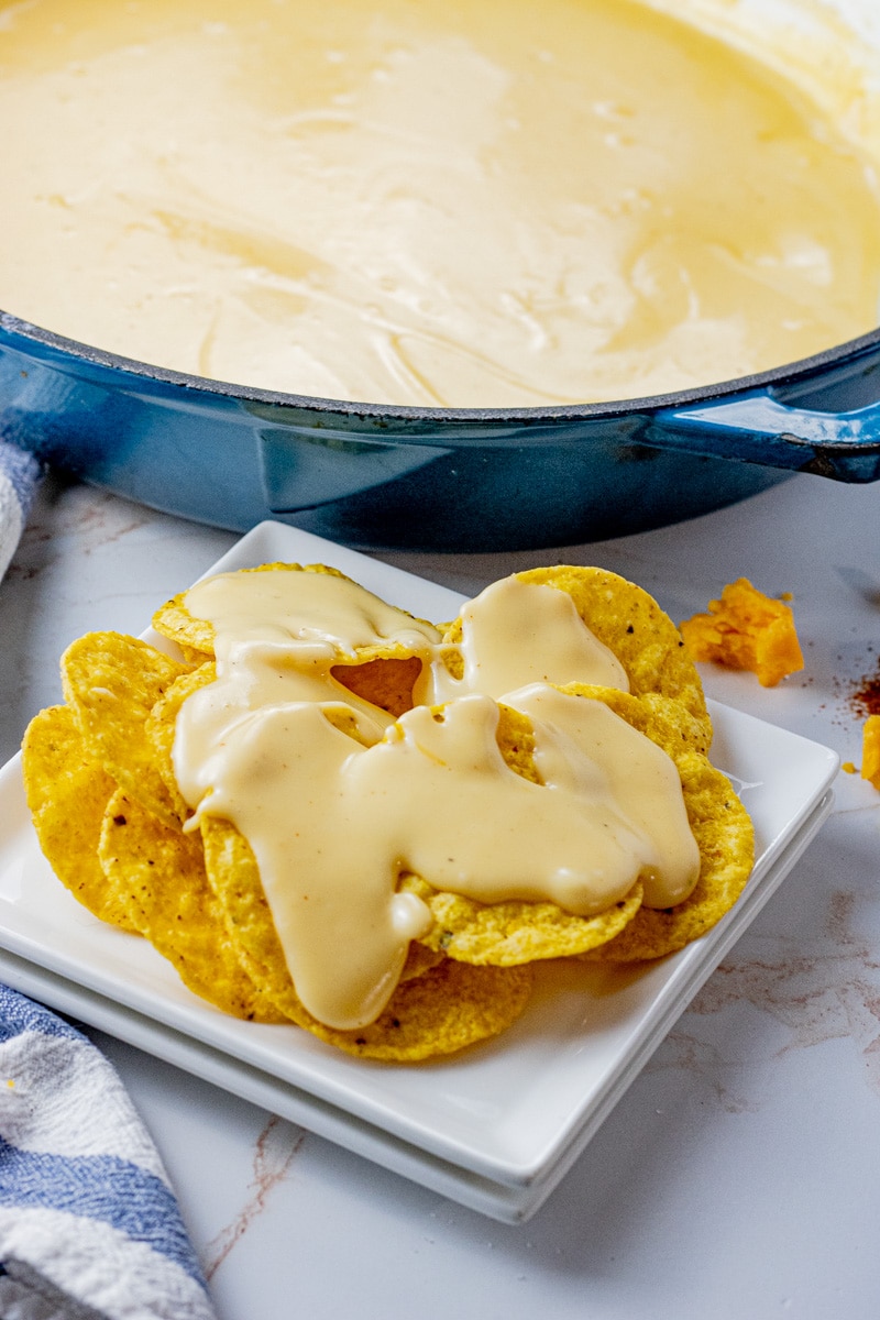 round tortilla chips topped with melted cheese sauce