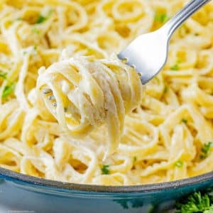 Alfredo