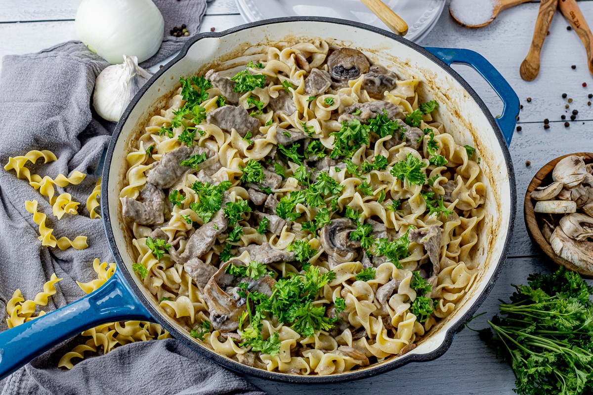 egg noodles mixed with a creamy sour cream sauce with strips of beef and mushrooms