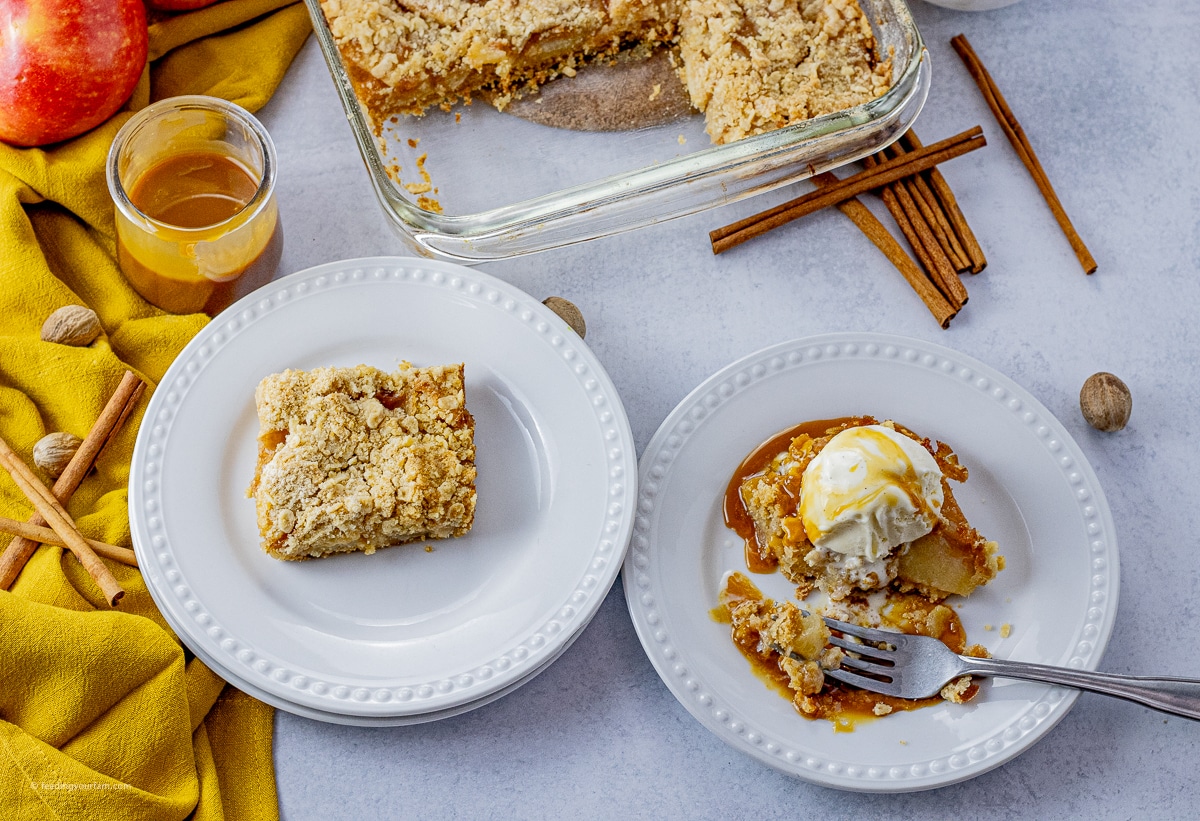 apple bars made wth buttery bottom crust, apple filling and crumble topping