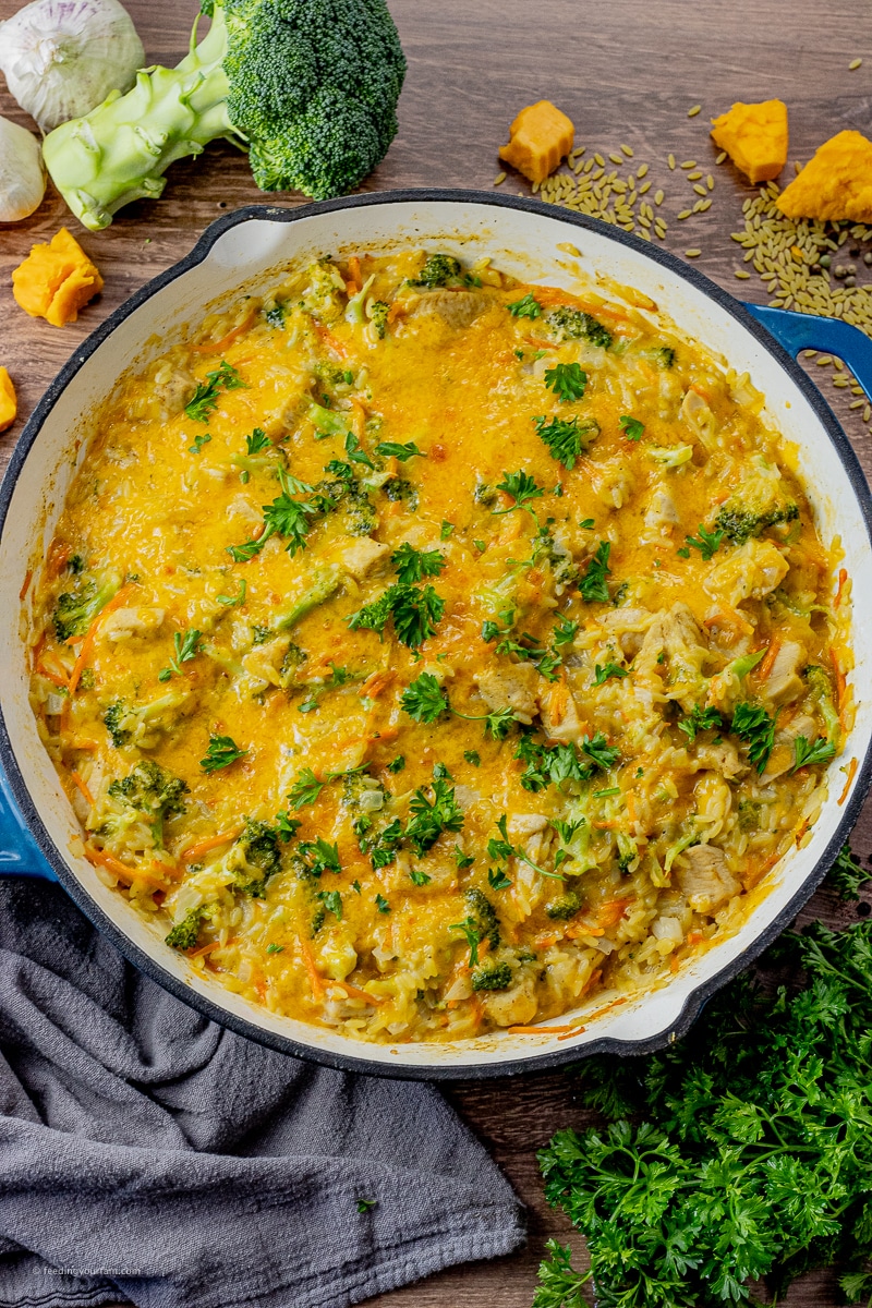 Perfect Family Meal, Cheesy Chicken and Broccoli Orzo - Feeding Your Fam