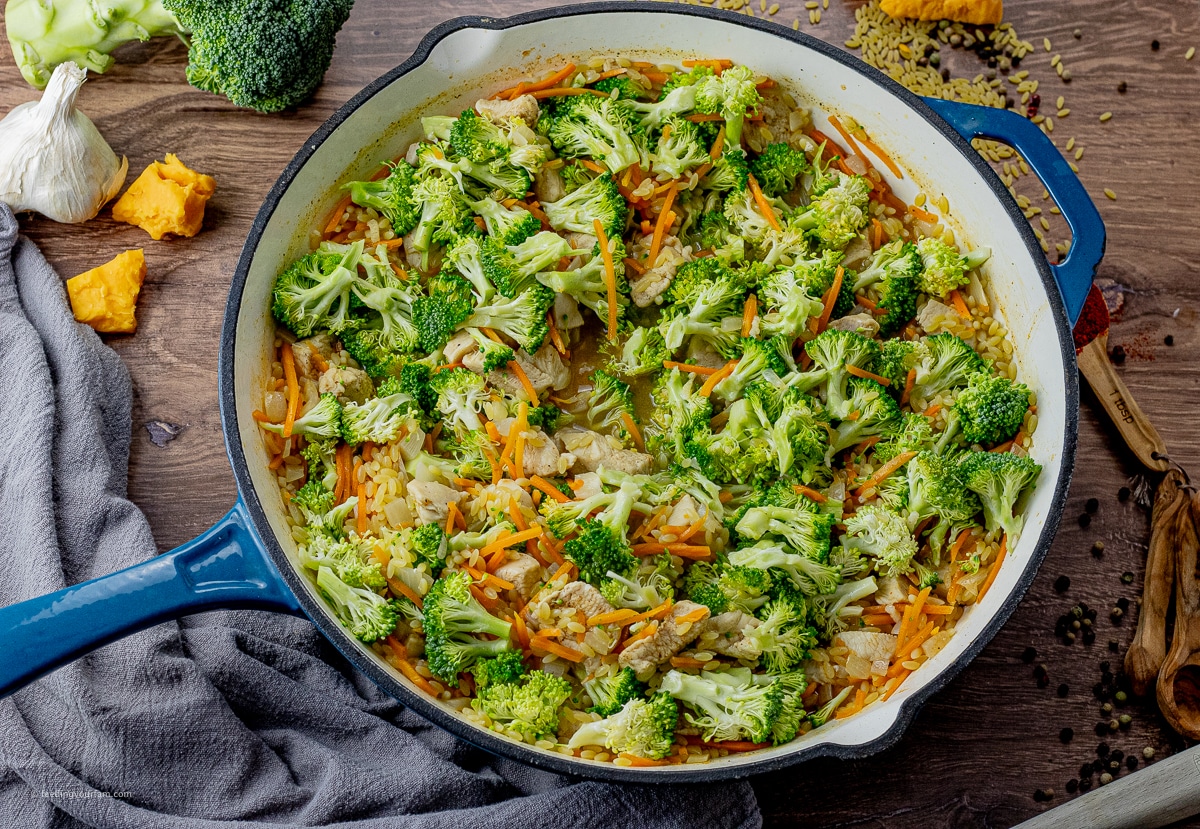 big pan with broccoli, carrots, chicken, orzo and broth