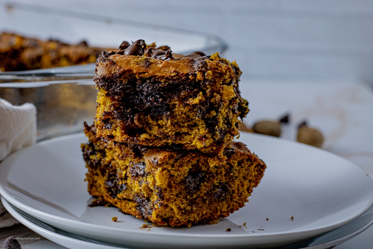 two pumpkin bars with chocolate chips on a white plate