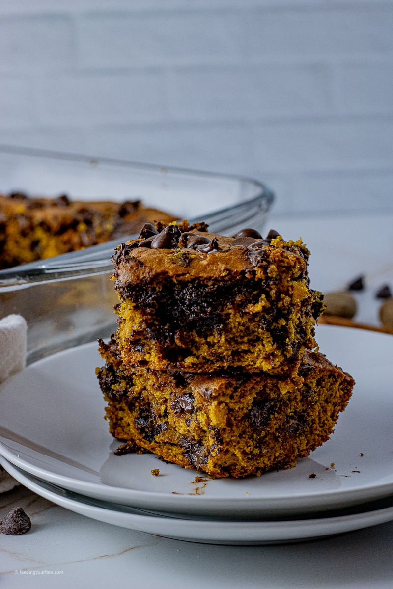 This pumpkin bar recipe is a moist, chocolatey, delicious bar that is such an easy dessert to make that will feed a crowd.