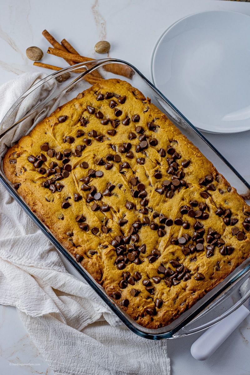 cooked pumpkin bars recipe topped with chocolate chips in a glass 9 x 13 inch baking dish