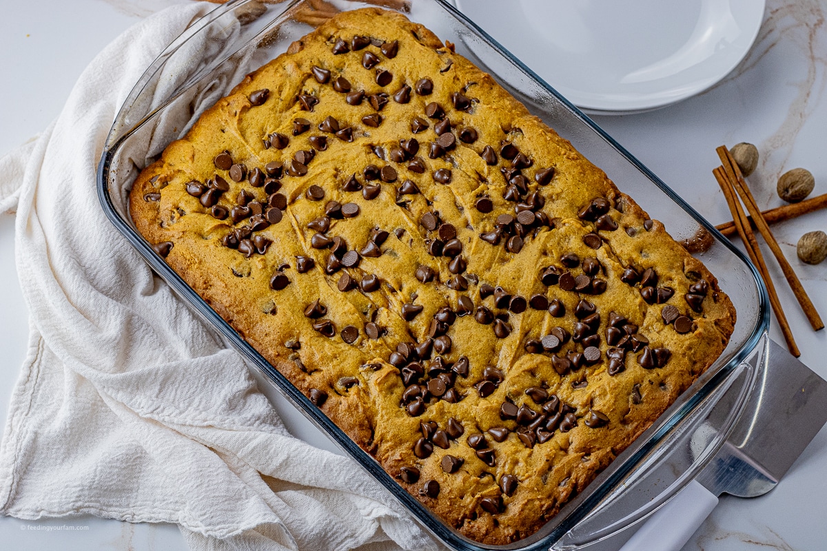 9 x 13 inch glass pan with pumpkin bars with chocolate chips on top