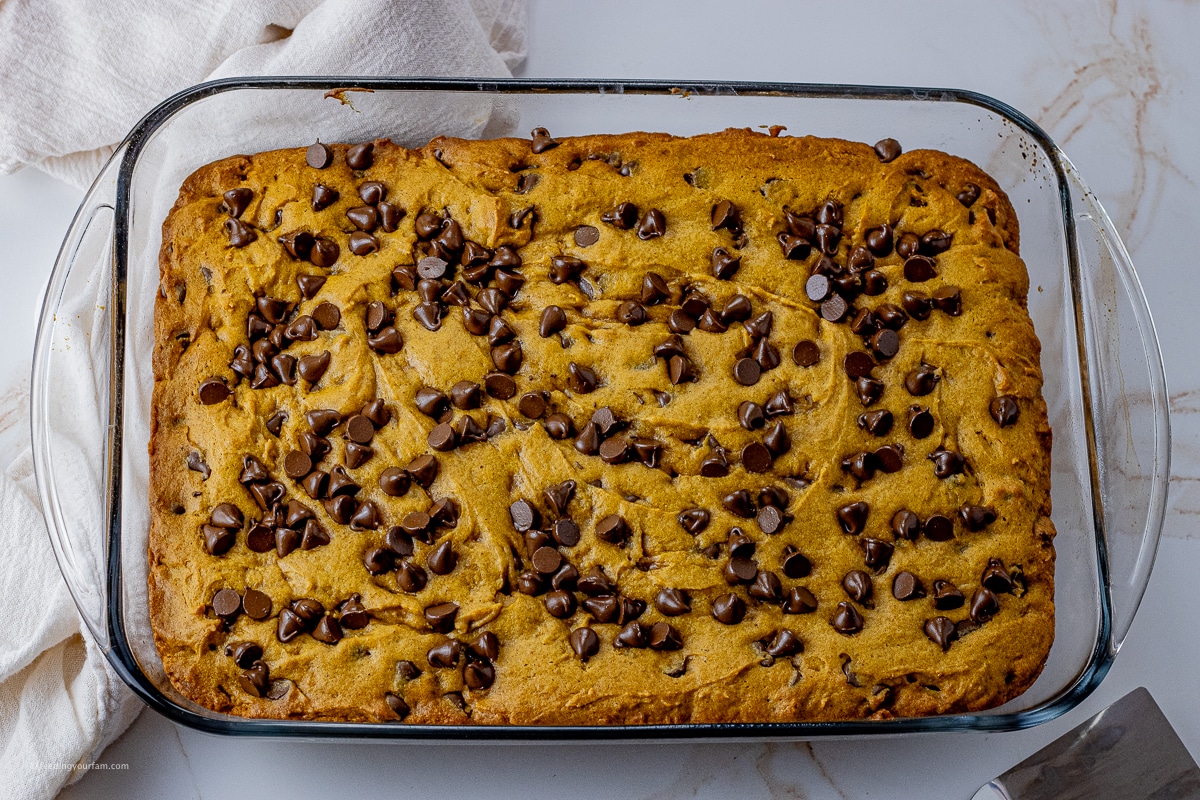 cooked pumpkin bar recipe in a glass 9 x 13 inch baking dish, topped with chocolate chips