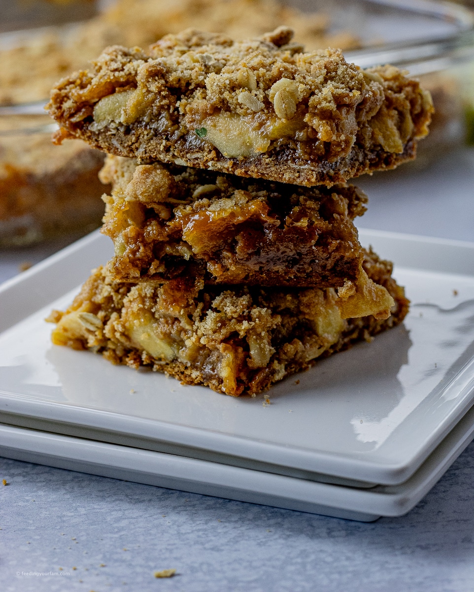 Caramel Apple Bars are a sweet treat that are perfect for Fall. Fall recipes are so much better when combined with fresh Fall fruits like apples.