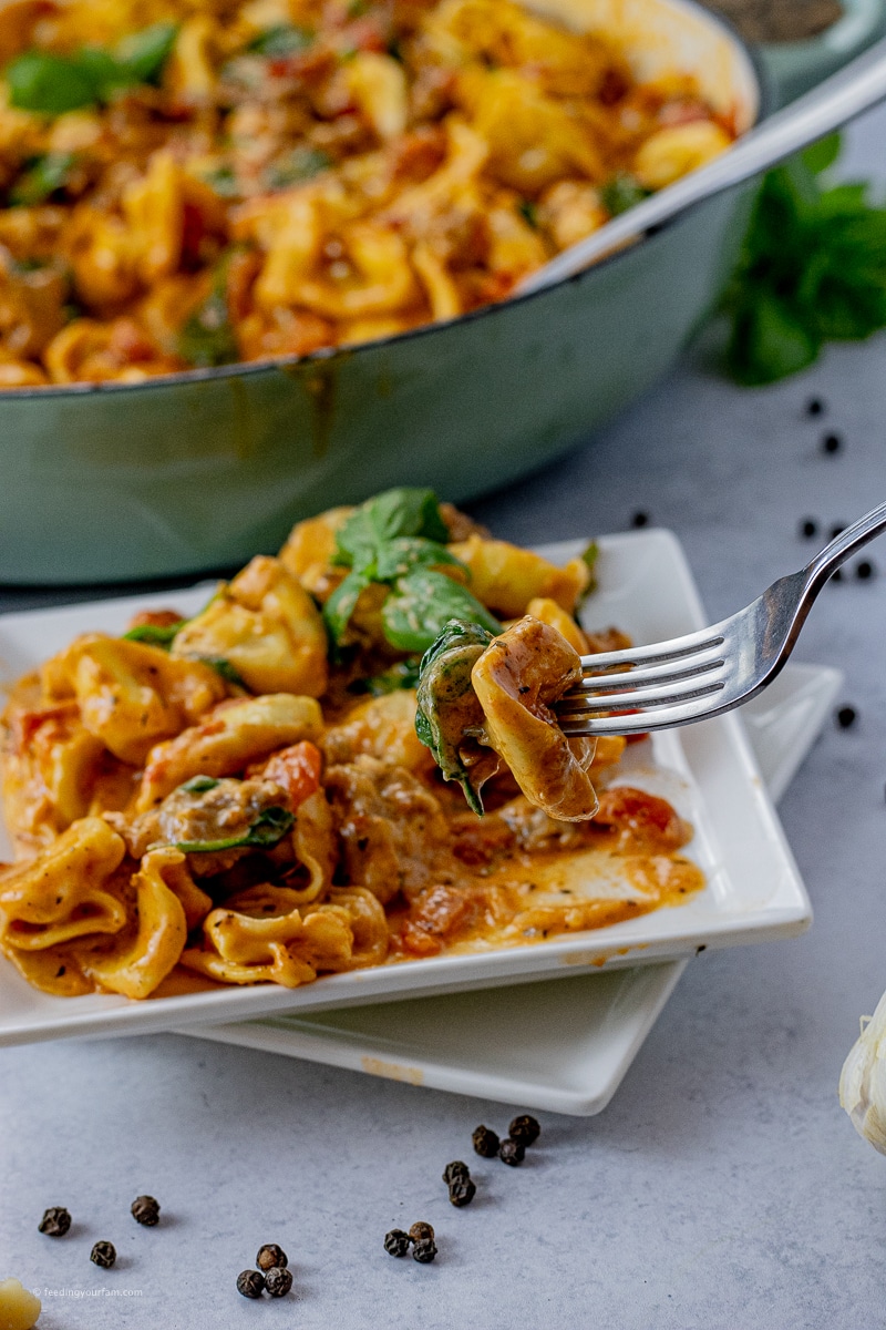 cheese tortellini and sausage in a tomato sauce, a fork holding up one tortellini