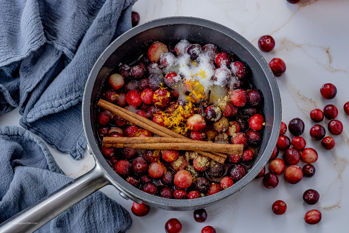 fresh cranberries, cinnamon sticks, orange zest, sugar in a saucepan to make cranberry sauce