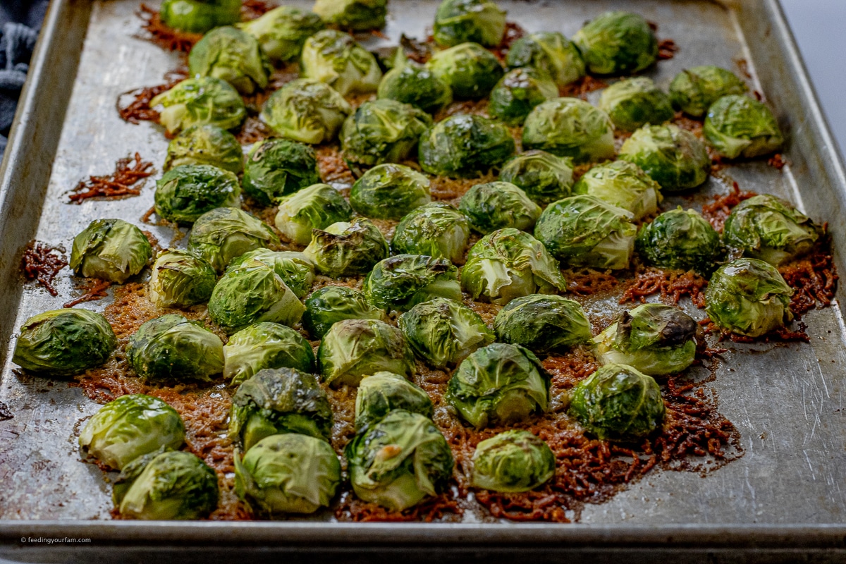 halved brussels sprouts baked on parmesan cheese on a baking sheet