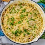 chicken tetrazini topped with melted cheese and parsley