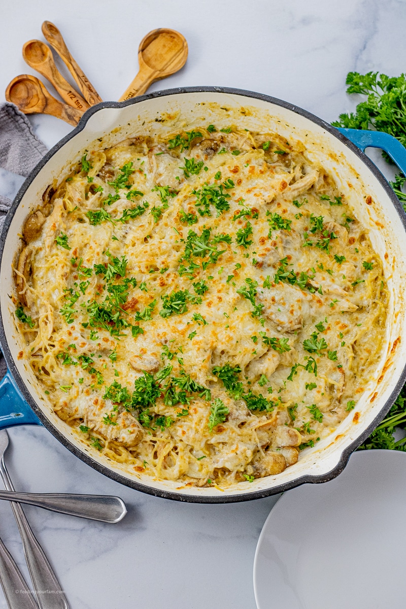 big pan filled with chicken tetrazzini topped with melted cheese and chopped parsley